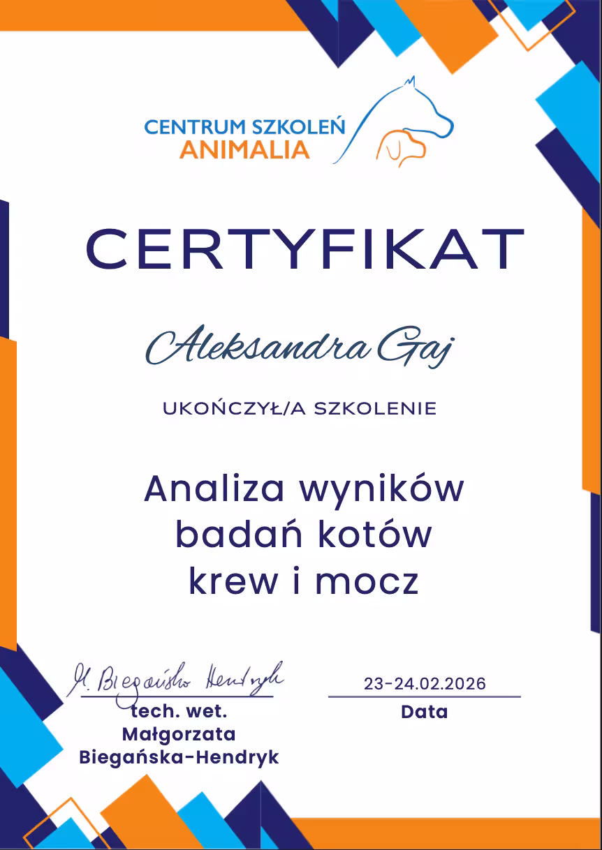 Certyfikat ukończenia kursu „Analiza wyników”