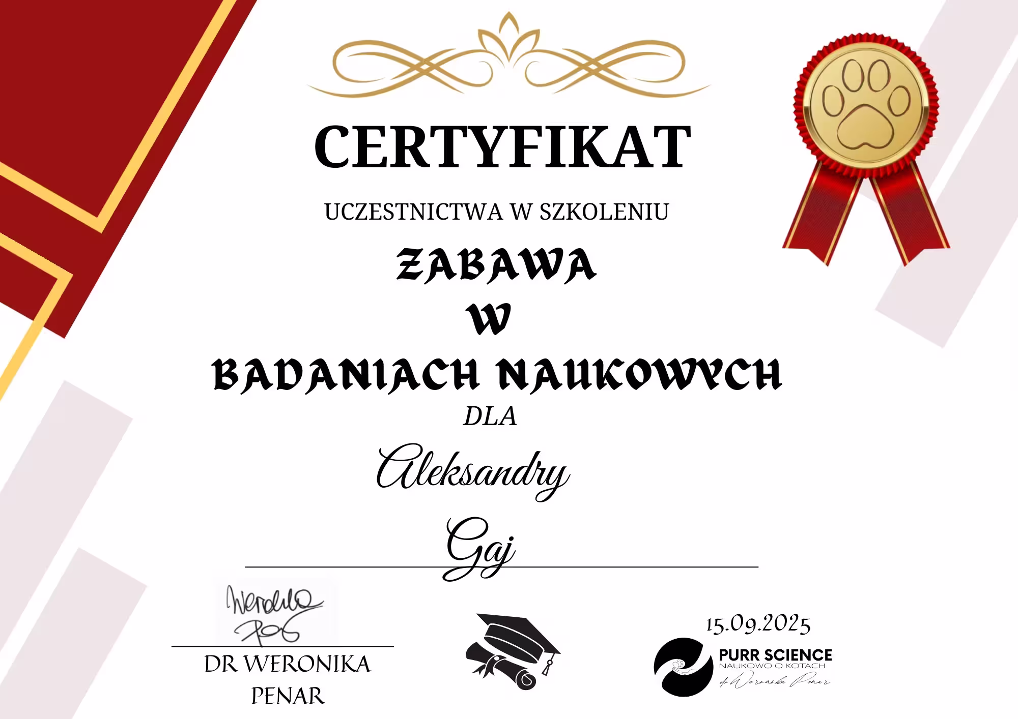 Certyfikat ukończenia kursu „Zabawa w badaniach naukowych”