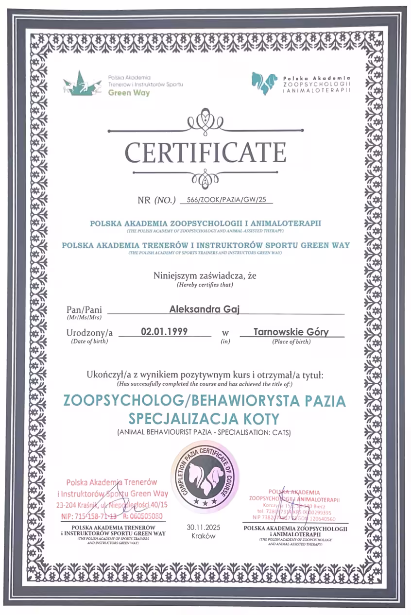 Dyplom „Zoopsychologia - specjalizacja koty” Polskiej Akademii Zoopsychologii i Animaloterapii